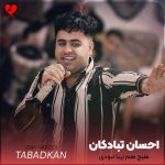 دانلود آهنگ هیچ هم زیبا نبودی من تو را زیبا کشیدم از احسان تبادکان